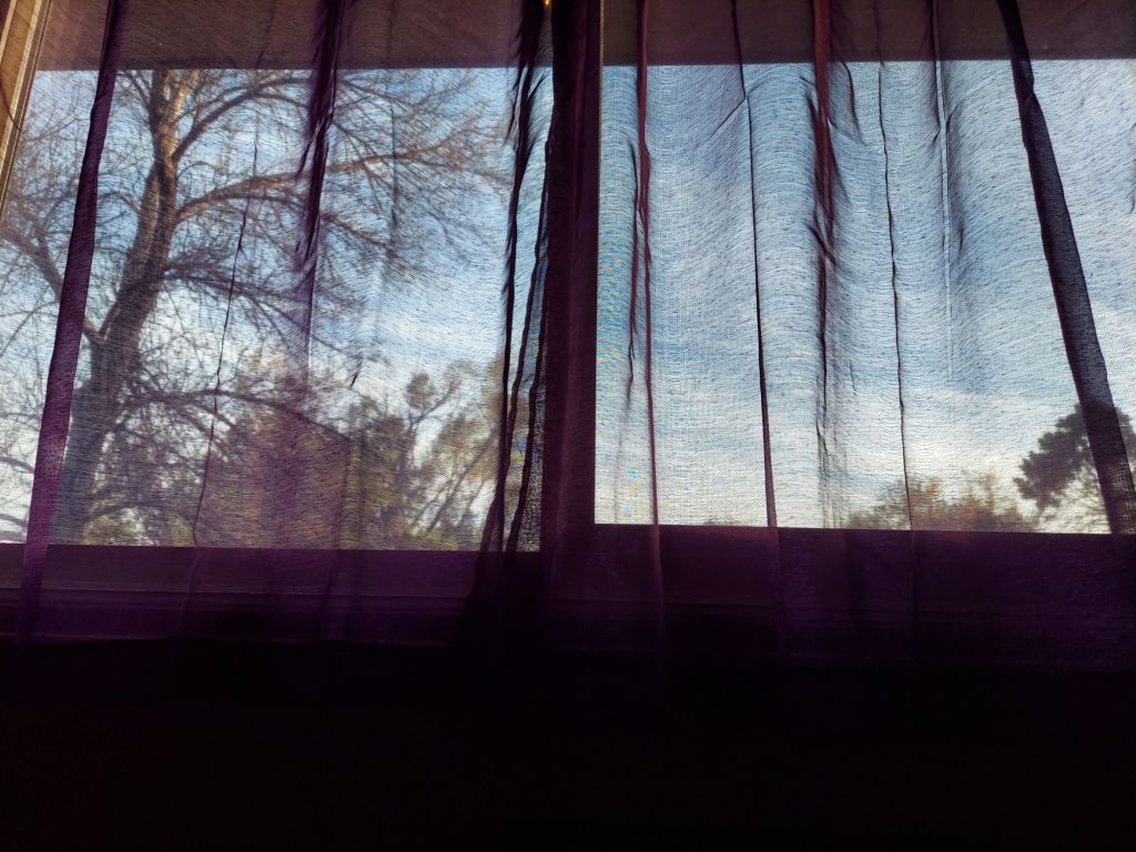 This image is a view of the outdoors through a window covered by sheer purple curtains. The sky is blue with wispy clouds, and leafless tree branches stretch across the scene. Sunlight filters through the fabric, casting a soft glow.