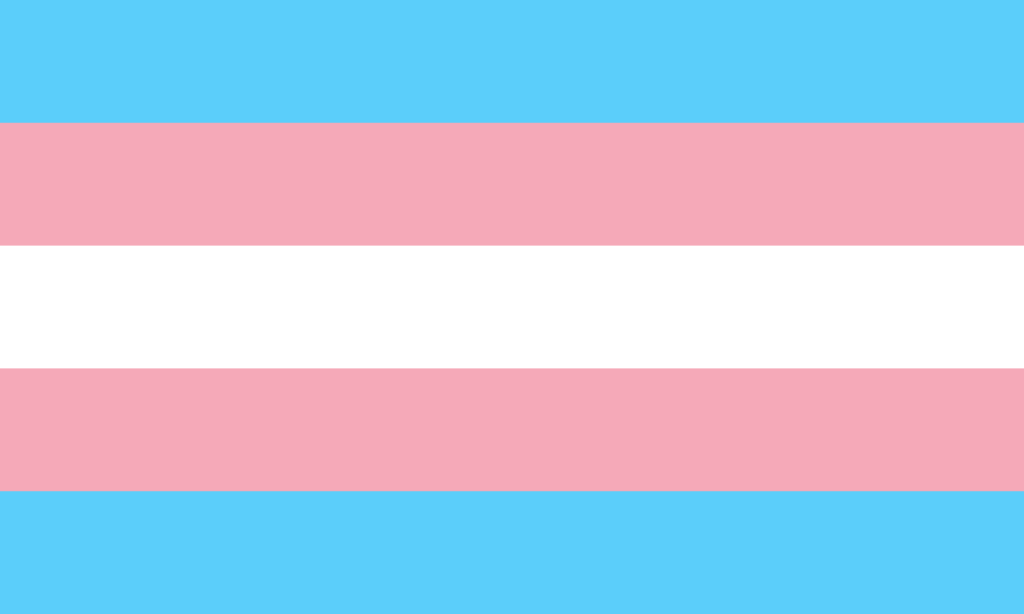 The transgender pride flag with blue, pink, and white horizontal stripes.